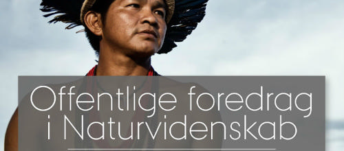 Foto Morten Lau-Nielsen/Aarhus Universitet